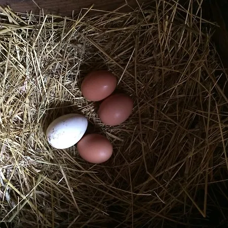 Chateau Du Beugnon Bed & Breakfast Tigne