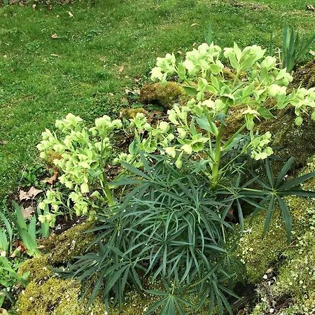 Chateau Du Beugnon Bed & Breakfast Tigne