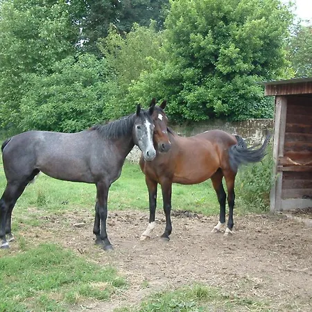 Chateau Du Beugnon *