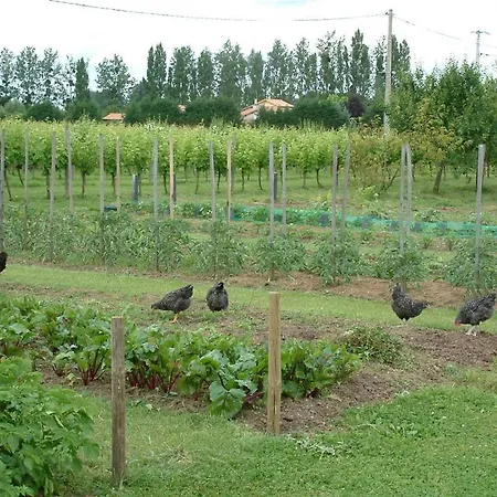 Chateau Du Beugnon Bed & Breakfast *
