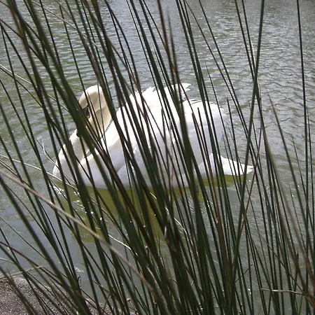 Bed & Breakfast Chateau Du Beugnon