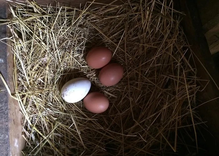 Chateau Du Beugnon Couette-café Tigné