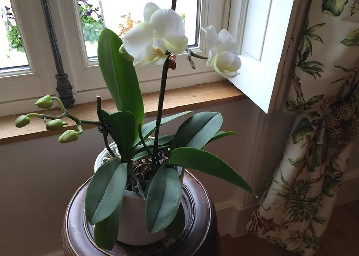 Couette-café Chateau Du Beugnon *