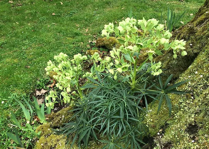 Chateau Du Beugnon Couette-café Tigné