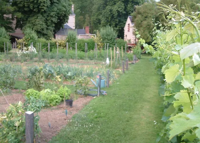 Chateau Du Beugnon Couette-café