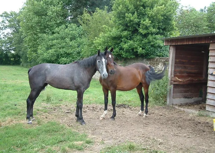 Chateau Du Beugnon *