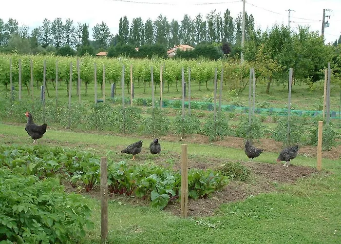 Chateau Du Beugnon Couette-café *