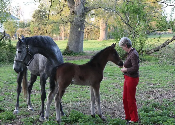 Chateau Du Beugnon Couette-café Tigné