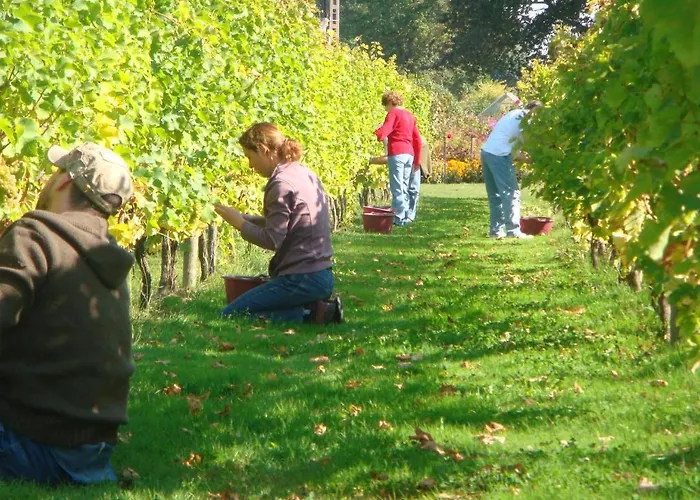 Chateau Du Beugnon Couette-café Tigné