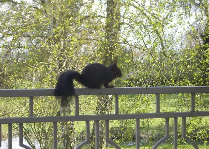 Chateau Du Beugnon * Tigné
