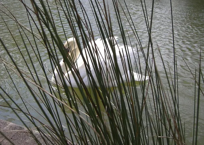 Couette-café Chateau Du Beugnon